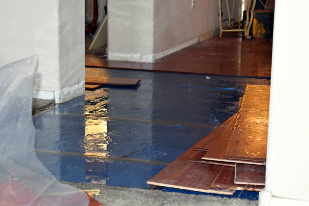 Professional Flood Damage Repair technician working in Wesley, ME